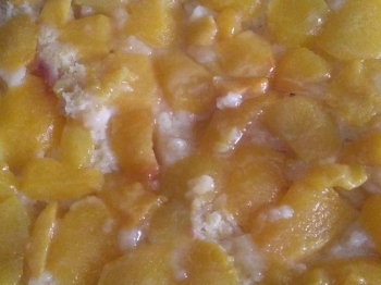 TORTA ROVESCIATA DI PESCHE